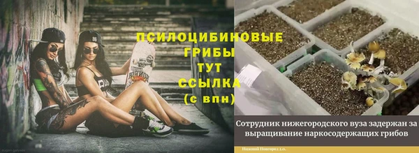 мет Верея