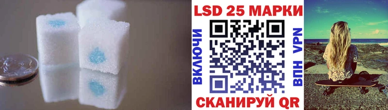 блэк спрут вход  Липецк  Лсд 25 экстази кислота  продажа наркотиков 